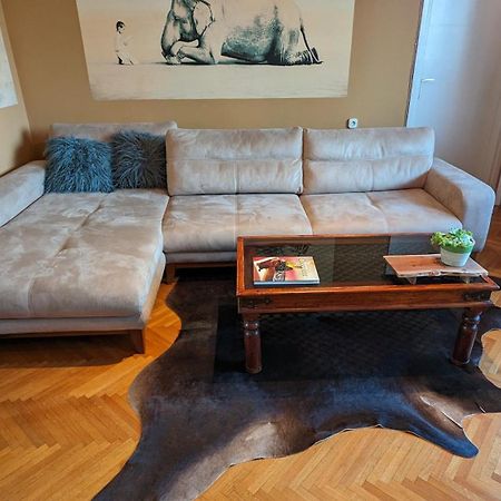 Center, Private Garage, Danube & Fortress, 3 Bdrm 2 Bath Novi Sad Luaran gambar